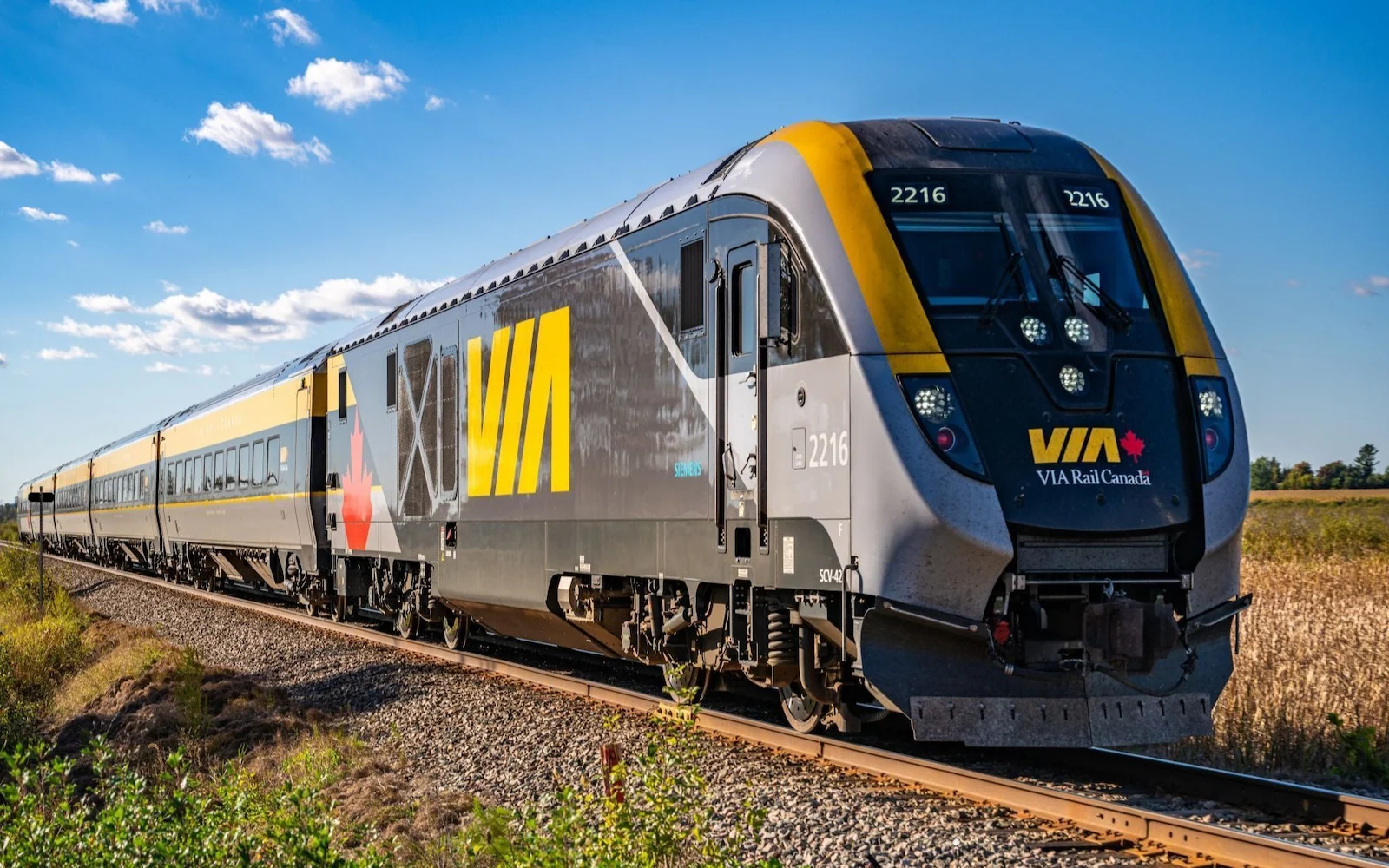 VIA Rail's newest trainsets, the Siemens Venture, just outside Ottawa.